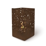 EcoSmart Fire