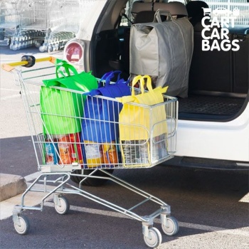 cart-car-bag-ostude-ja-pagasi-kandekotid-4-tk1.jpg