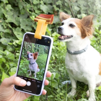 selfiklamber-lemmikloomadele-pefie-innovagoods_270671.jpg