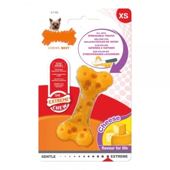 koera-naerimismaenguasi-nylabone-dura-chew-juust-nailon-suurus-xs_366389.jpg