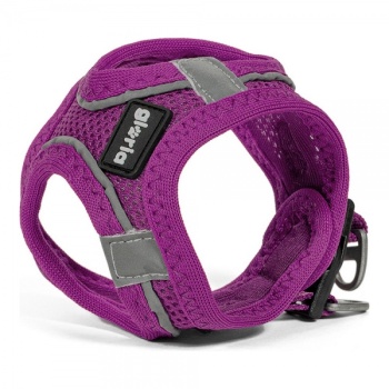 koera-rakmed-gloria-air-mesh-trek-star-kohandatav-lilla-suurus-l-33-4-35-cm_379244 (2).jpg