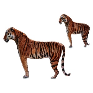 PADI Tiiger (14 X 50 X 76 CM)