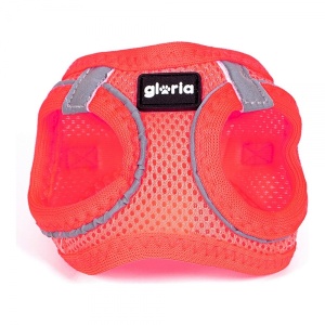  Koera rakmed Gloria Air Mesh Trek Star,  kohandatav , suurus XXXS (18-20 cm)