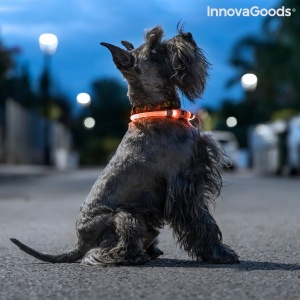 LED- VALGUSTUSEGA KAELARIHM LEMMIKLOOMADELE PETLUX