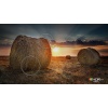 Samsung-103300512-ee-feature--532168249ORIGIN_IMG.jpg