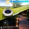 solar-garden.jpg