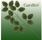 eng_pl_Artificial-leaves-47cm-set-of-12-pcs-Gardlov-22557-16871_7.jpg
