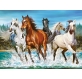 call-of-nature-jigsaw-puzzle-200-pieces.65205-1.fs.jpg