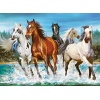 call-of-nature-jigsaw-puzzle-200-pieces.65205-1.fs.jpg