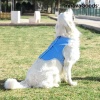 chaleco-refrescante-para-mascotas-grandes-innovagoods-l2.jpg