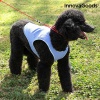 chaleco-refrescante-para-mascotas-medianas-innovagoods-m (2).jpg