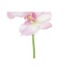 dekoratiivlilled-dkd-home-decor-roosa-lillla-valge-14-x-7-x-91-cm-3-uehikut_513047 (1).jpg