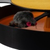 eng_pl_A-toy-for-a-cat-a-wheel-with-a-mouse-12827_5.jpg