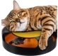 eng_pl_A-toy-for-a-cat-a-wheel-with-a-mouse-12827_8.jpg