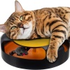 eng_pl_A-toy-for-a-cat-a-wheel-with-a-mouse-12827_8.jpg