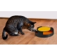 eng_pl_A-toy-for-a-cat-a-wheel-with-a-mouse-12827_9.jpg