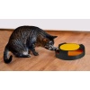 eng_pl_A-toy-for-a-cat-a-wheel-with-a-mouse-12827_9.jpg