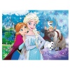 frozen-jigsaw-puzzle-30-pieces.64857-1.fs.jpg