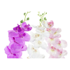 image_2023-03-15_143004784.png