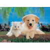 ks-games-cat-dog-jigsaw-puzzle-200-pieces.54995-1.fs.jpg