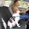 lemmiklooma-induviduaalne-autoistme-kate-kabapet-innovagoods_185162 (1).jpg