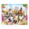 plastic-puzzle-howard-robinson-pet-selfie-jigsaw-puzzle-500-pieces.80563-1.fs.jpg