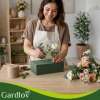 mljZT1pbWFnZXMmc3JjPWh0dHBzJTNBJTJGJTJGYWdyb3pvbmUuZWUlMkZ3cC1jb250ZW50JTJGdXBsb2FkcyUyRjIwMjYlMkYwNCUyRmVuZ19wbV9mbG9yYWwtZm9hbS0yM3gxMXg4Y20tMjAtcGNzLWdhcmRsb3YtMTg5MjRfNy5qcGcmY2FjaGVNYXJrZXI9MTc3NTExNTQ4OS0xMzA.webp