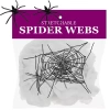 ämblikuvõrk kahe ämblikuga.webp
