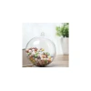 220289-10_ruhhy-transparentni-cetky-10-cm-sada-5-ks-22276-akce.webp