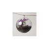 220289-6_ruhhy-transparentni-cetky-10-cm-sada-5-ks-22276-akce.webp