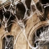 eng_pm_Artificial-spider-web-2-Malatec-spiders-19759-16369_11.webp