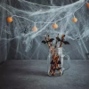 eng_pm_Artificial-spider-web-2-Malatec-spiders-19759-16369_13.webp
