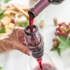 veini-aeraator-filtri-aluse-ja-kandekotiga-wineir-innovagoods_660757 (11).jpg