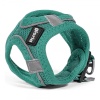 koera-rakmed-gloria-air-mesh-trek-star-kohandatav-tuerkiissinine-suurus-xxxs-18-20-cm_379249 (2).jpg