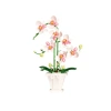 108951-4_pol-pl-klocki-konstrukcyjne-orchidea-storczyk-w-doniczce-rozowo-biala-718-el-26702-2.webp