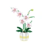 Kocke-Orhideja-v-loncku-1.webp