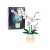 Kocke-Orhideja-v-loncku-eigrace.webp